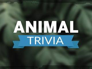 Animal Trivia HD